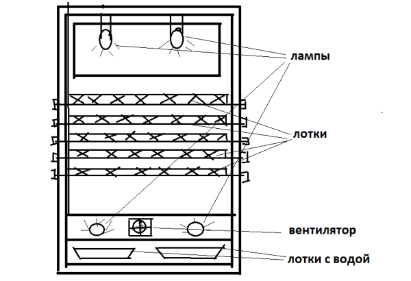  Schema des Inkubators aus dem Kühlschrank