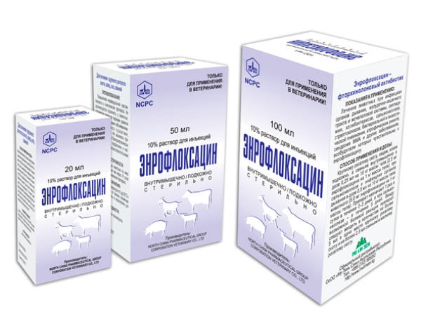  Enrofloxacin