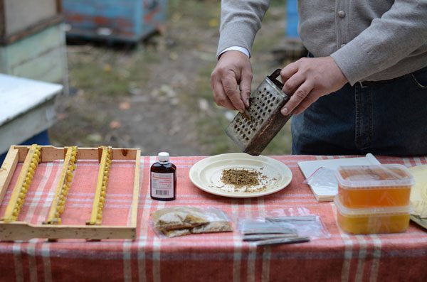  Propolis-Tinktur vorbereiten