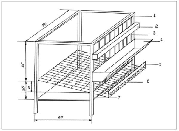  Wachtelzellen-Layout