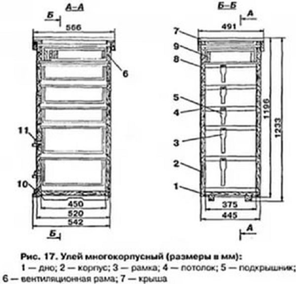  Multicase-Bienenstock