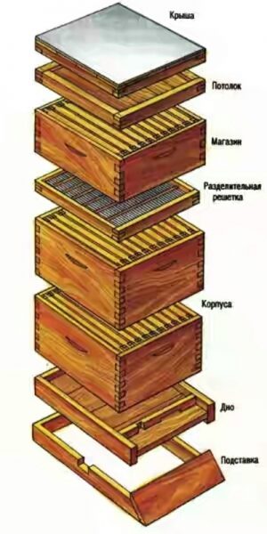  Klassisches Bienenstockdesign