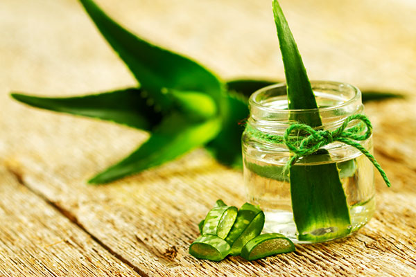  Aloe mit Honig