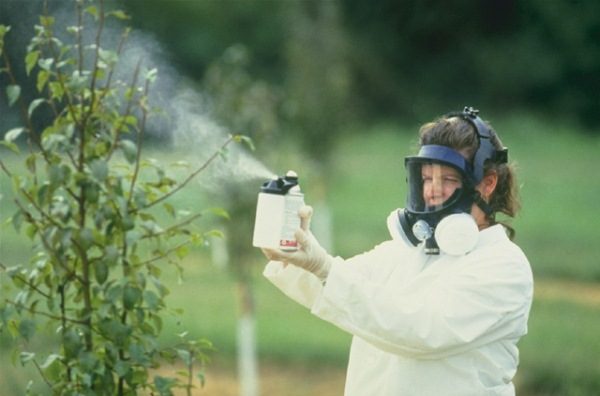  Chemische Behandlung von Pflanzen