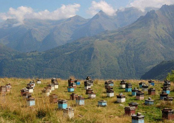  Bienenhaus in den Bergen