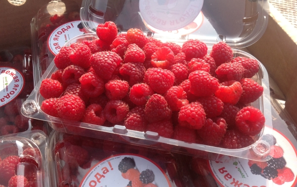  Vous pouvez vendre des framboises cultivées dans les marchés, les restaurants et les magasins.