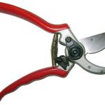  Pruner