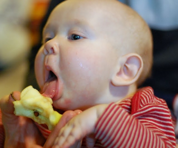  Schwangere und stillende Frauen sowie Kinder müssen Äpfel in die Ernährung einbeziehen