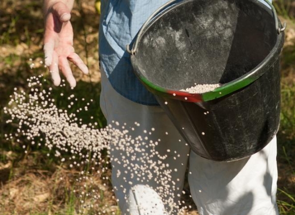  Klapps Lieblingsbirnen werden mit Phosphor-Kalium- und Stickstoffdünger gefüttert.