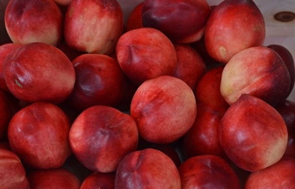  Un hybride de pêche et de pomme appelé nectarine de pomme