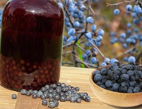  Compote d'épines pour l'hiver