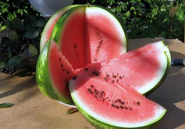  Reife Wassermelone