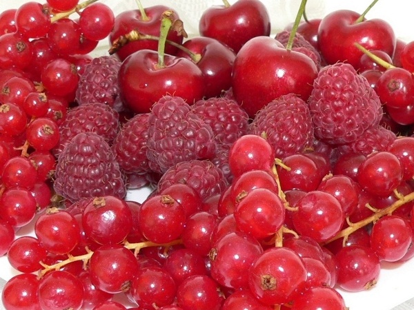  Rote Beeren - Kirsche, Himbeere und Johannisbeere