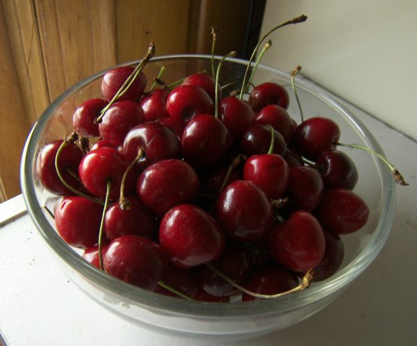  Cerises récolte sam