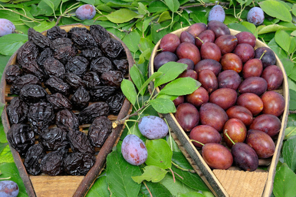  Pruneaux et Prunes