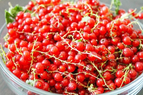  Geerntete reife Beeren mit Johannisbeerzucker