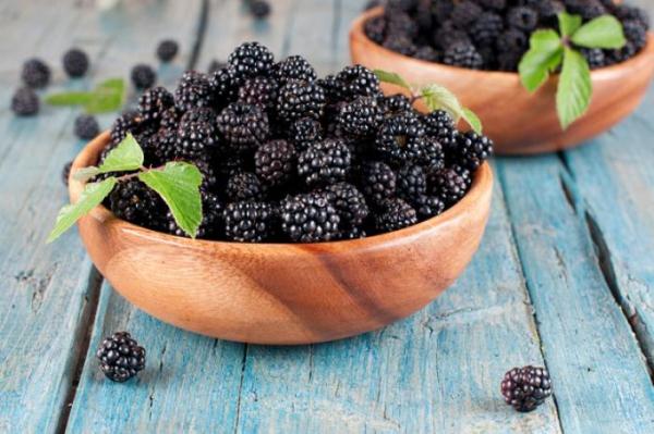  Die Verwendung von Brombeeren beim Kochen