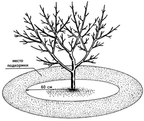  Schema des Düngemittels im Kirschkreis