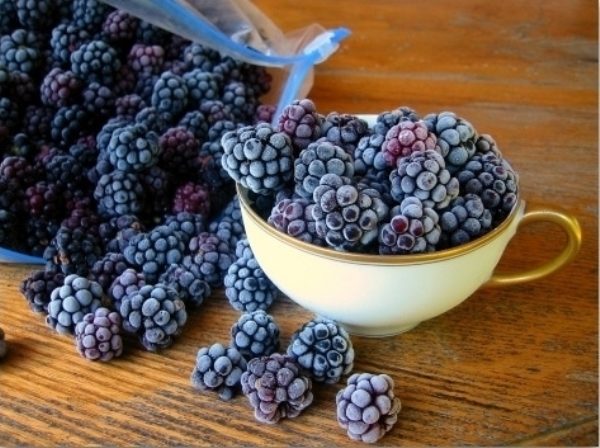  Gefrorene Brombeeren