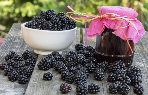  Brombeeren werden für gesunde Marmelade verwendet: klassisch, gefroren und fünf Minuten