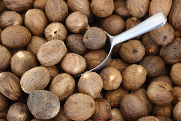  À l'aide de la noix de muscade, des varices et de la tuberculose, les processus inflammatoires du foie et de la rate, les maladies catarrhales et virales, traitent l'énurésie.