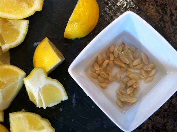  Pour la culture, il faut choisir la bonne variété de citron, le fruit doit être mûr, les graines sont grosses