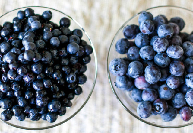  Der Unterschied zwischen Blaubeeren und Blaubeeren