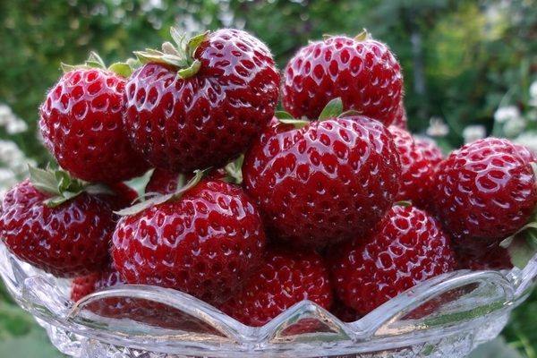  Jardin aux fraises Mize Schindler