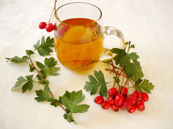  Trinken Sie Weißdorn-Tee 2 Stunden nach dem Essen. Es wird nicht empfohlen, ihn auf leeren Magen zu verwenden