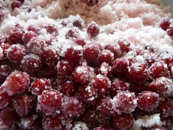  Les canneberges sont utilisées pour faire de la confiture et de la gelée, des boissons aux fruits et du sucre.