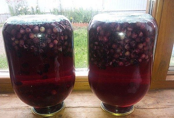  Compote de cerisier rouge pour l'hiver