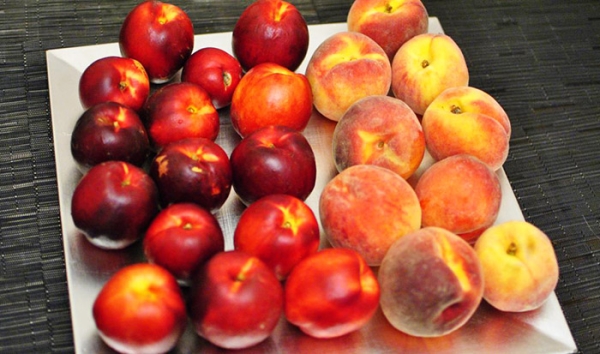  Les pêchers sont divisés en quatre groupes en fonction de la forme du fruit.