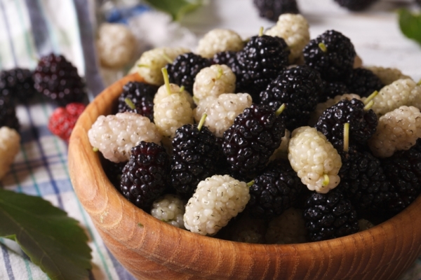  Maulbeeren enthalten viele Vitamine und Mineralstoffe und nur 43 Kalorien