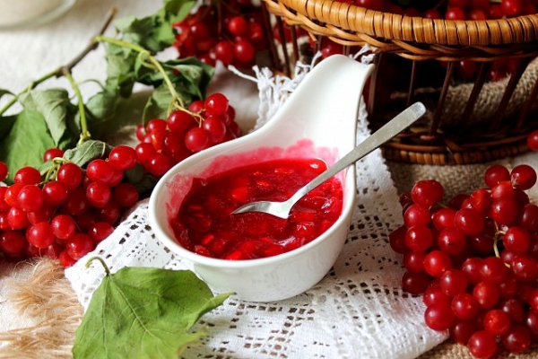  Sie können Säfte, Gelees herstellen, einfrieren oder aus Viburnum-Beeren trocknen