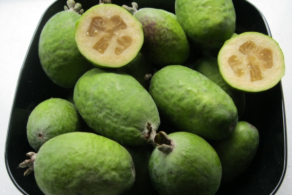  Feijoa enthalten große Mengen an Jod, Folsäure, Eisen und Kalium