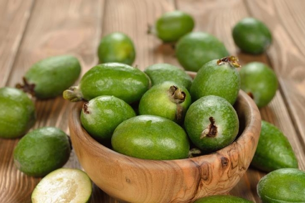  Les avantages et les inconvénients de feijoa, propriétés utiles et contre-indications, recettes