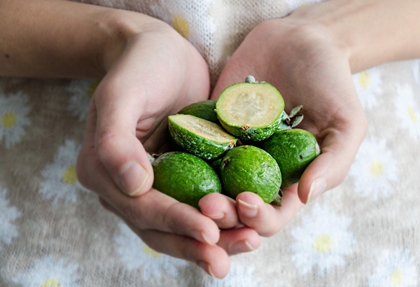  Feijoa ist besonders nützlich in der 12. Schwangerschaftswoche.