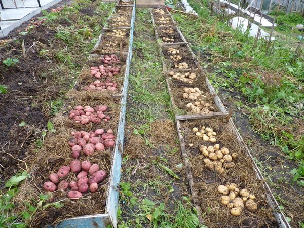  Sur des matières organiques dans un récipient