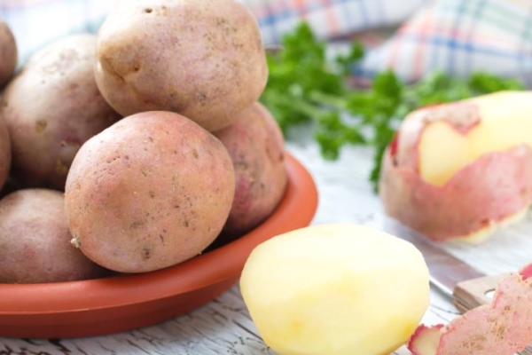  Dank seines hohen Stärkegehaltes eignet sich Romano hervorragend für die Herstellung von Kartoffelpüree.