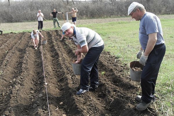  Landungen sind in jedem Land außer Lehm möglich.