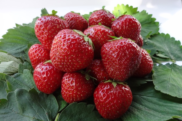  Couronne aux fraises