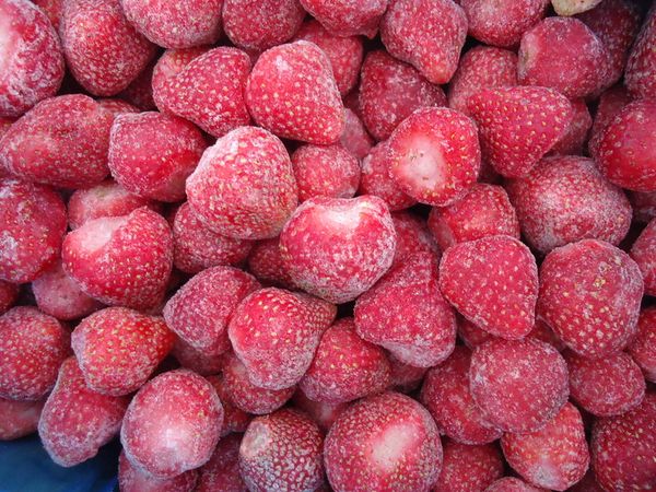  Les fraises de Florence ne perdent pas leurs propriétés lorsqu'elles sont congelées