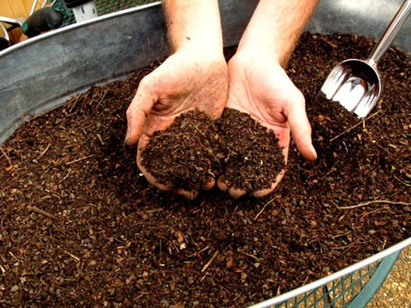  Le compost contribue à un agrofone favorable