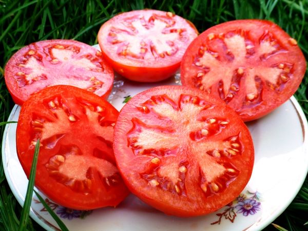  Fruchtfleisch reife Tomaten - rot