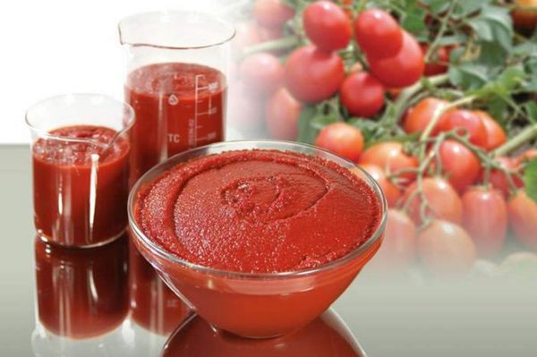  Sorte zum Kochen von Tomatenmark