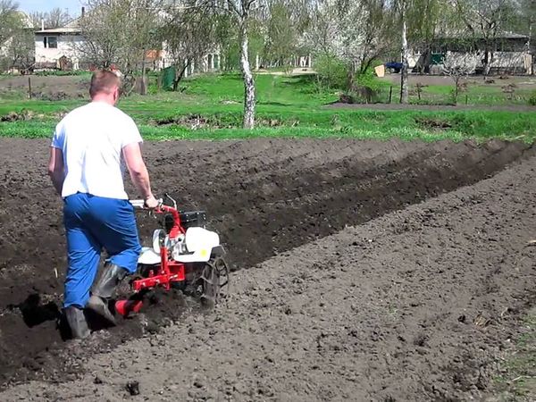  Frühling ist notwendig, um das Land vor dem Pflanzen zu pflügen.