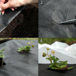  Les trous ronds ne doivent pas être grands pour limiter les mauvaises herbes.