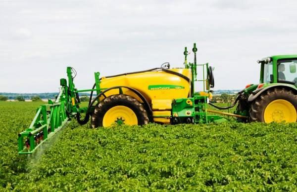  L'utilisation d'herbicides peut éliminer complètement le transfert de virus, causé par les dommages causés aux arbustes.