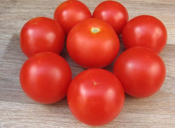  Tomaten-Sanka