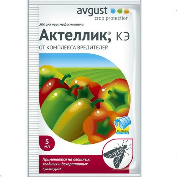  Aktellik - l'un des médicaments les plus efficaces pour lutter contre l'aleurode